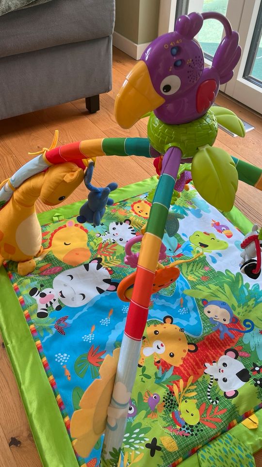 Fisher-Price Rainforest Krabbeldecke für Babys in Bergholz Rehbrücke