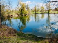 Suche zum Pachten Teich Weiher See Fischweiher Pachtgewässer Bayern - Moosburg a.d. Isar Vorschau