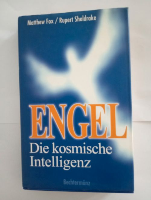 Engel - Die kosmische Intelligenz v. M. Fox u. R. Sheldrake in Essen