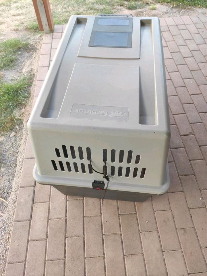 Große Hundetransportbox in Hecklingen