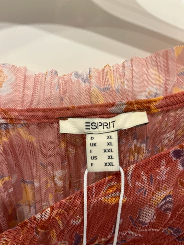 Neues elegantes Esprit Damen Langarm Top in Gr. XL in Niederkrüchten