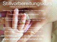 Stillberatung Stillvorbereitungskurs Stillen Baby Geburt Brandenburg - Frankfurt (Oder) Vorschau