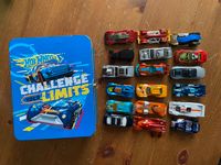 Hot Wheels Autosammlerkoffer inkl. 18 Fahrzeuge Berlin - Zehlendorf Vorschau