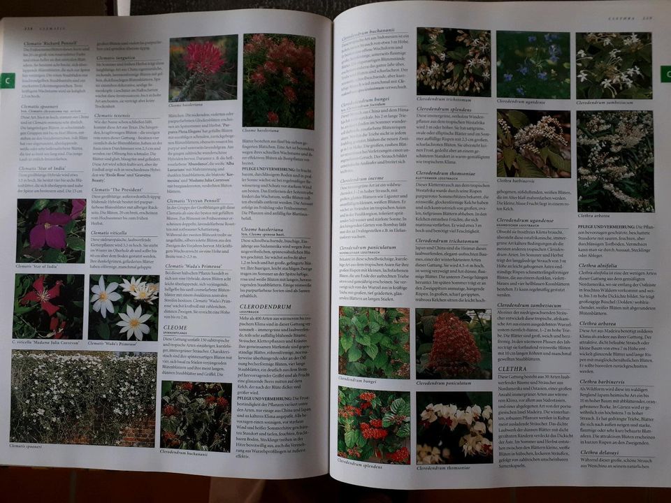 Botanica Enzyklopädie 10 000 Pflanzen Arten Rosen Garten Geschenk in Apen