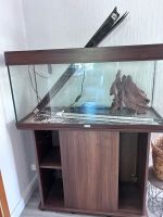 Aquarium 180l Schleswig-Holstein - Eckernförde Vorschau