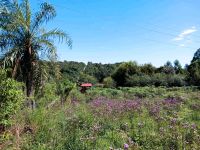 3,5 Hektar Natur Grundstück im Mundo Aparte Dorf Süd Paraguay Frankfurt am Main - Sachsenhausen Vorschau