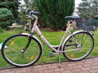 Damenfahrrad 28 Zoll Winora Touring Baden-Württemberg - Mannheim Vorschau