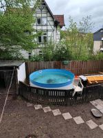 Pull ein Jahr alt Niedersachsen - Bad Sachsa Vorschau