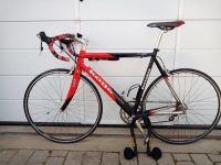 Koga Miyata Herren Rennrad in rot/schwarz mit Carbongabel Bayern - Weißenbrunn Kreis Kronach Vorschau