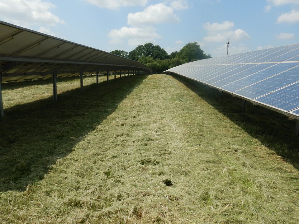 Solarpark mähen / Solarparkpflege Freiflächen PV in Großefehn