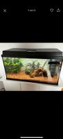 Juwel Aquarium 110 l mit Unterschrank Rheinland-Pfalz - Bobenheim-Roxheim Vorschau