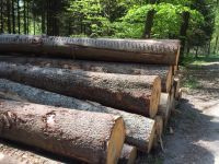Eiche Fichte Tanne Käferholz zu Brettern Bohlen  Bauholz Nordrhein-Westfalen - Stadtlohn Vorschau