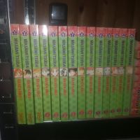 Mangaauflösung Kare Kano Masami Tsuda Band 1-15 + doppelte Manga Niedersachsen - Burgdorf Vorschau