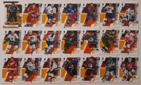 21 NHL Trading Cards Karten 2003 He Shoots-he scores Forsberg Bayern - Frammersbach Vorschau