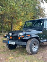 Jeep Wrangler YJ 2,5 1995 Thüringen - Wünschendorf Vorschau