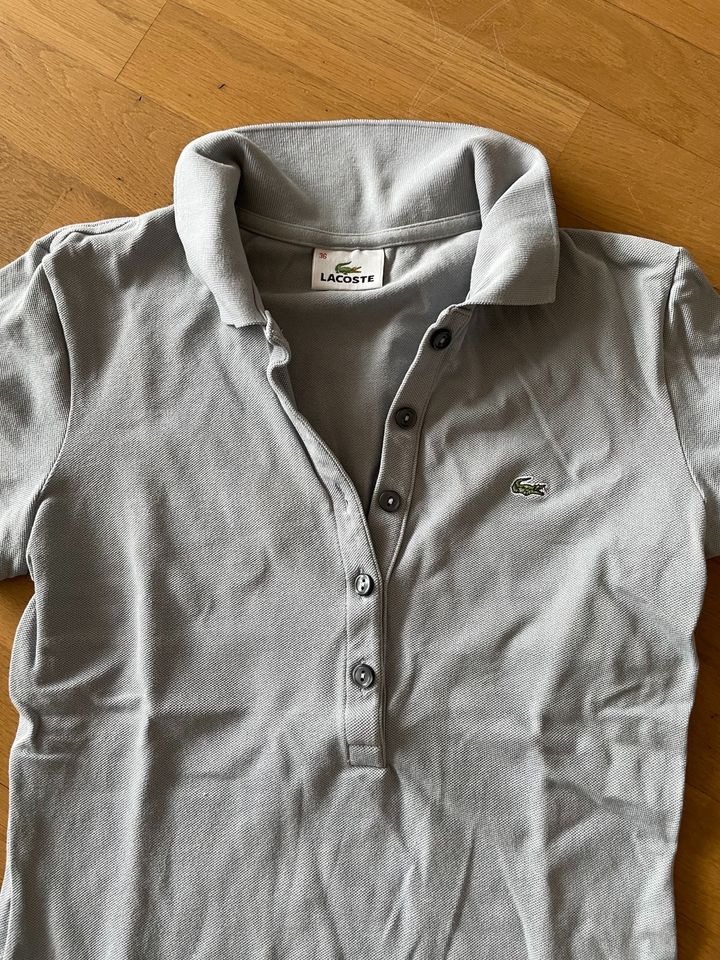 Lacoste Poloshirt Oberteil T-Shirt Grau 36 in Reinbek