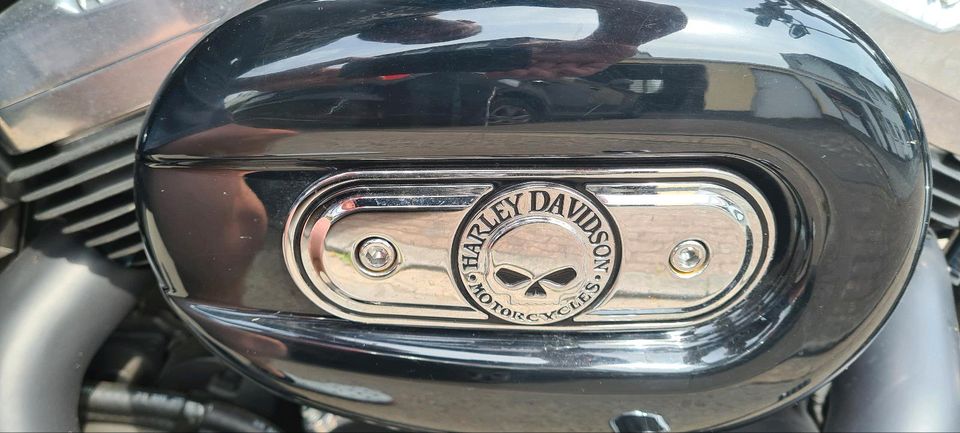 Harley Davidson 48 in Brakel