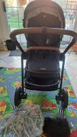 Buggy und Babywanne Joie Versatrax Berlin - Spandau Vorschau