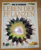 Gerstenberg Leben der Pflanzen Nordrhein-Westfalen - Porta Westfalica Vorschau