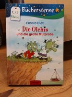 Bücher Die Olchies Kinderbücher 1.-3. Klasse Schleswig-Holstein - Lübeck Vorschau