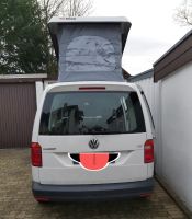 aufstelldach  vw caddy maxi 1.0 tsi Sachsen-Anhalt - Zörbig Vorschau