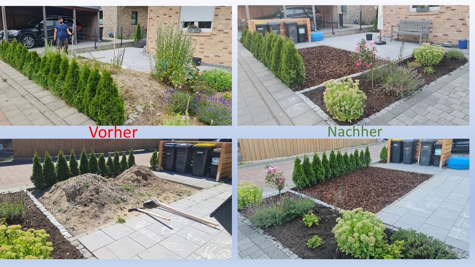 Gartenarbeit / Gartenpflege / Heckeschneiden in Kiel