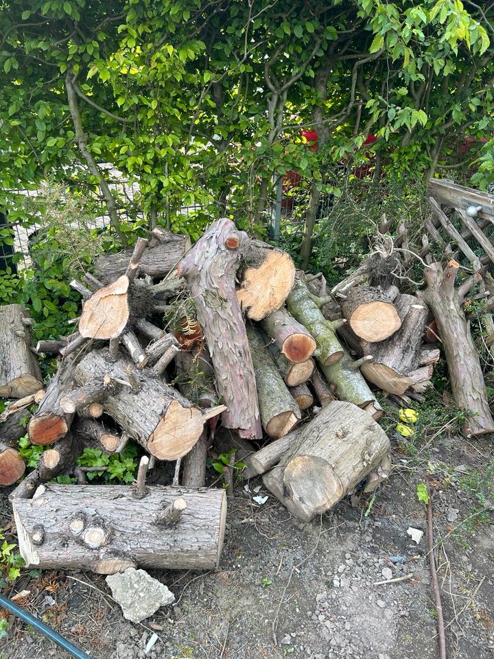 Feuerholz Kaminholz in Moers