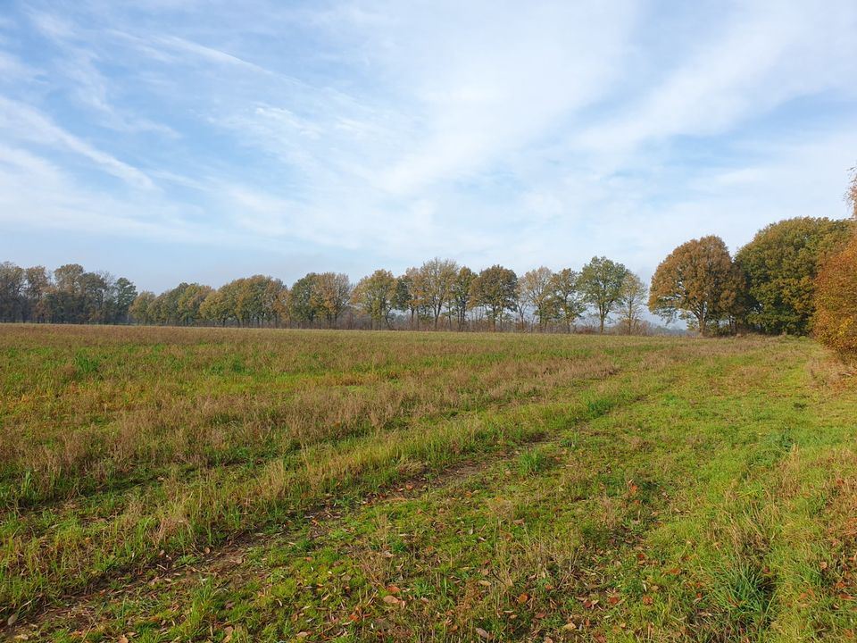 Nicht nur wohnen, sondern leben, Ihre Stadtvilla im kommenden Baugebiet in Bad Fallingbostel. in Bad Fallingbostel