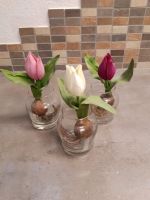 3  Deko-Tulpen im Glas Nordrhein-Westfalen - Detmold Vorschau