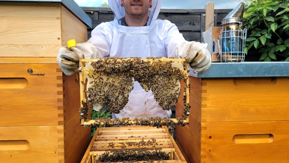 Bienenschwarm in und um Leipzig in Leipzig