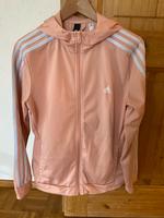 Adidas Jogginganzug Bayern - Dietenhofen Vorschau