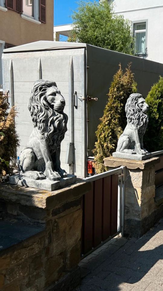 Löwe 80cm Löwen Löwenpaar Löwenpärchen Tiger Lion Steinfigur‼️ in Duisburg