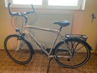 Hercules Herren Fahrrad 28 Zoll Hessen - Hanau Vorschau