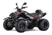 QUAD ATV KYMCO MAXXER S 300 T Onroad LOF PKW FÜHRERSCHEIN Berlin - Biesdorf Vorschau