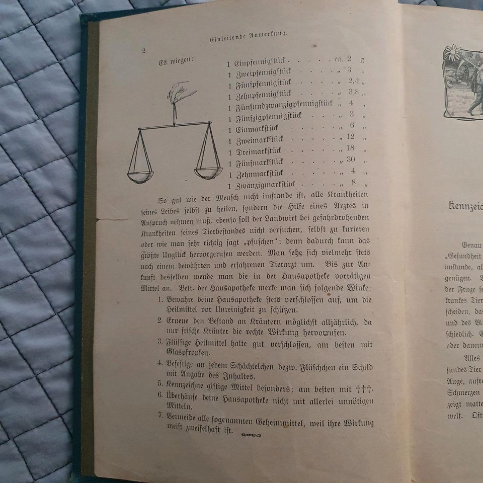 Handbuch der Tierheilkunde,  1899 - 1909?) in Landsberg (Lech)