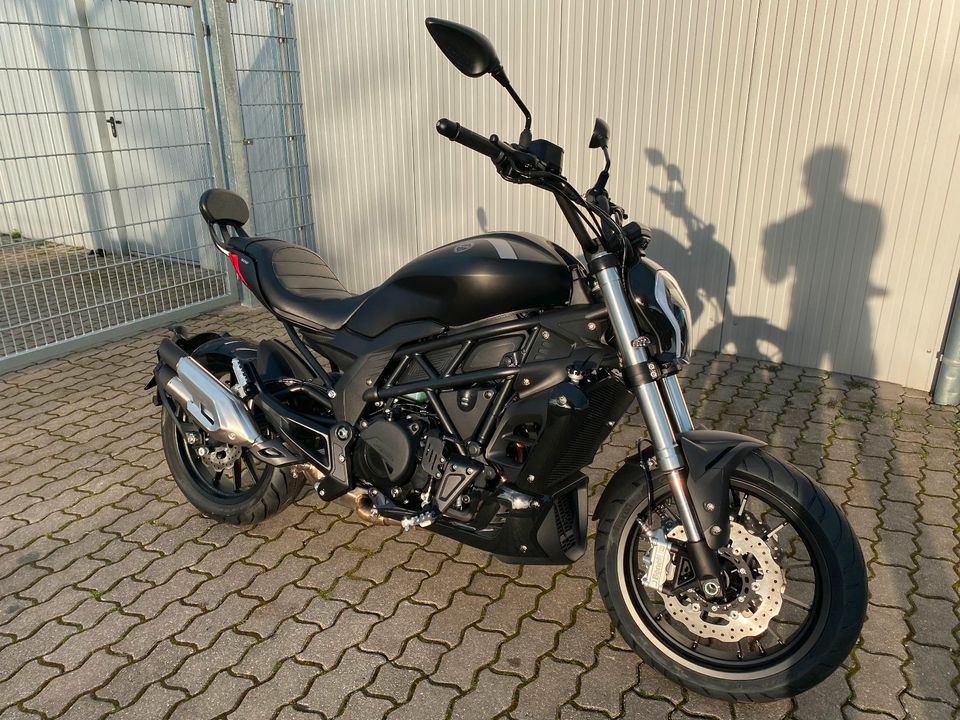 Benelli Cruiser 502 C E5 ABS | A2 | auf Lager in Walsrode