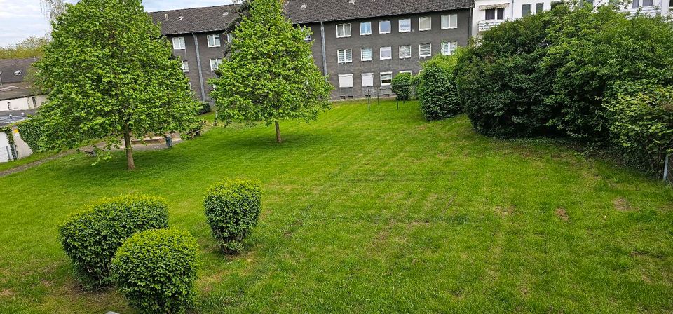 Wohnung zu vermieten in Duisburg