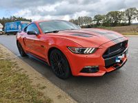 Ford Mustang GT 5.0 Ti-VCT California Aut Special V8 Bayern - Wildenberg Vorschau