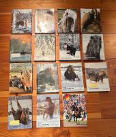Fast 100 Zeitschriften „Das Islandpferd“ 1994 - 2006 komplett Bayern - Kronach Vorschau
