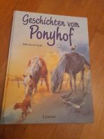 Pferde lese Buch schöne Geschichte Kreis Pinneberg - Barmstedt Vorschau