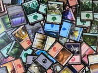 Magic the Gathering 500 Standardländer Karten Sammlung Niedersachsen - Nordstemmen Vorschau