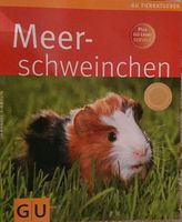 Buch Meerschweinchen, NEU Niedersachsen - Weyhausen Vorschau