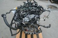 MOTOR CUW 2.0 TDI 184 PS AUDI SEAT SKODA VW KOMPLETT 27.341KM München - Berg-am-Laim Vorschau