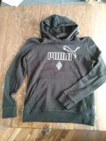 Borussia Mönchengladbach Kapuzensweatshirt Hoody Gr S Puma Neu Niedersachsen - Wangerland Vorschau