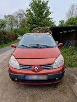 Renault sonic 7sitzer   Experte..Exporte Niedersachsen - Zetel Vorschau