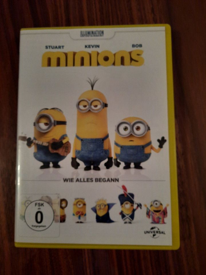 Minions, DVD, Wie alles Begann, Minions DVD in Teugn