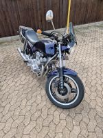 Honda CB750 Bol'Dor RC04 mit Chrom-Rahmen Bayern - Gunzenhausen Vorschau