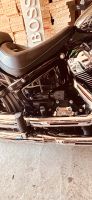 Harley Davidson Breakout M8 Seitendeckel Batteriecover Nordrhein-Westfalen - Harsewinkel - Marienfeld Vorschau