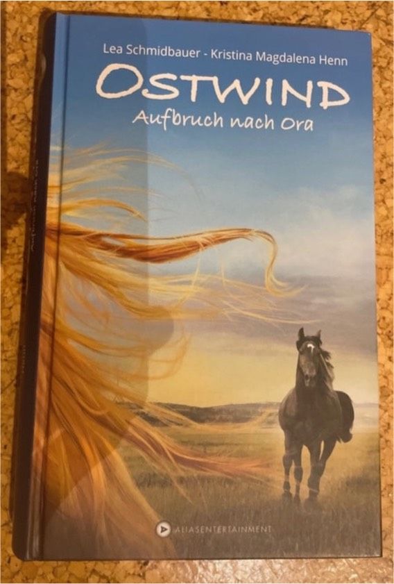 Ostwind Buch in Schmidgaden