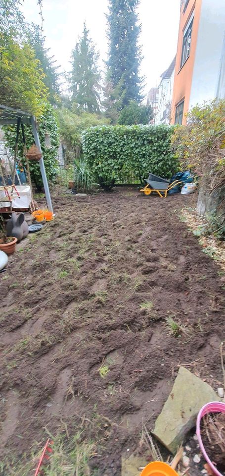 Gartenpflege / Grünflächenpflege  / Gartenpflege-Abo in Düsseldorf